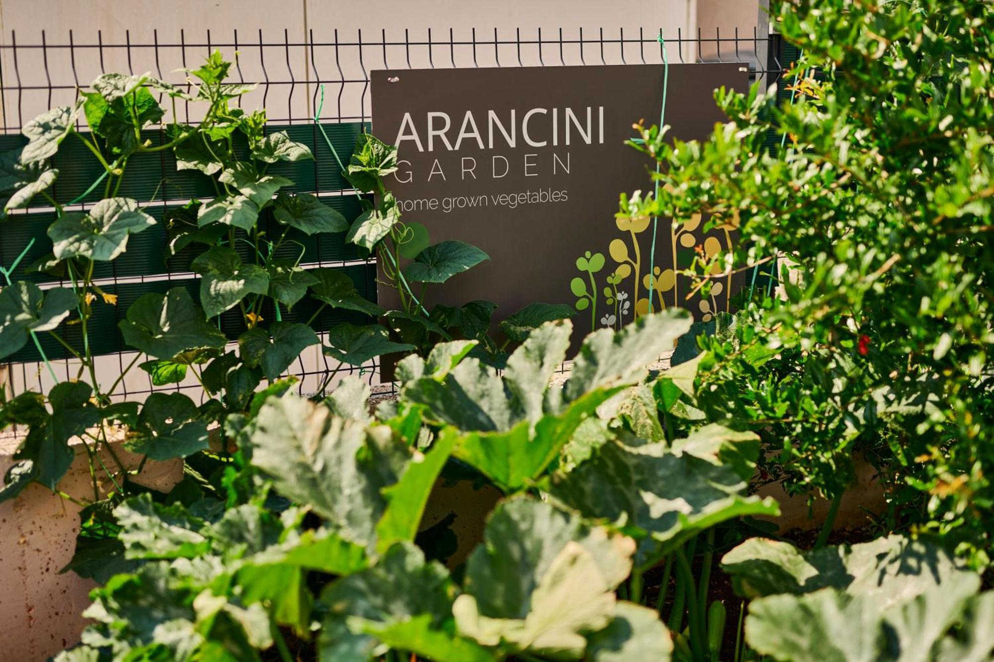 Arancini Residence Vodice Ngoại thất bức ảnh